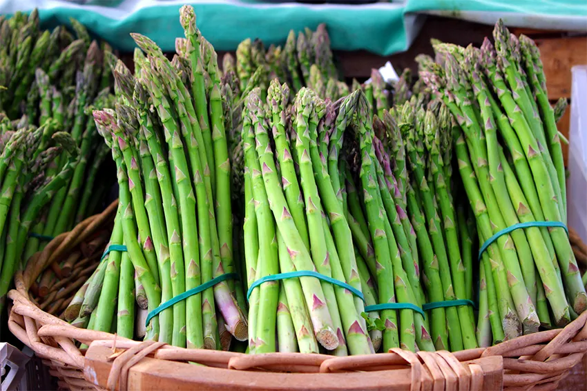 Image of a basket full of asparagus